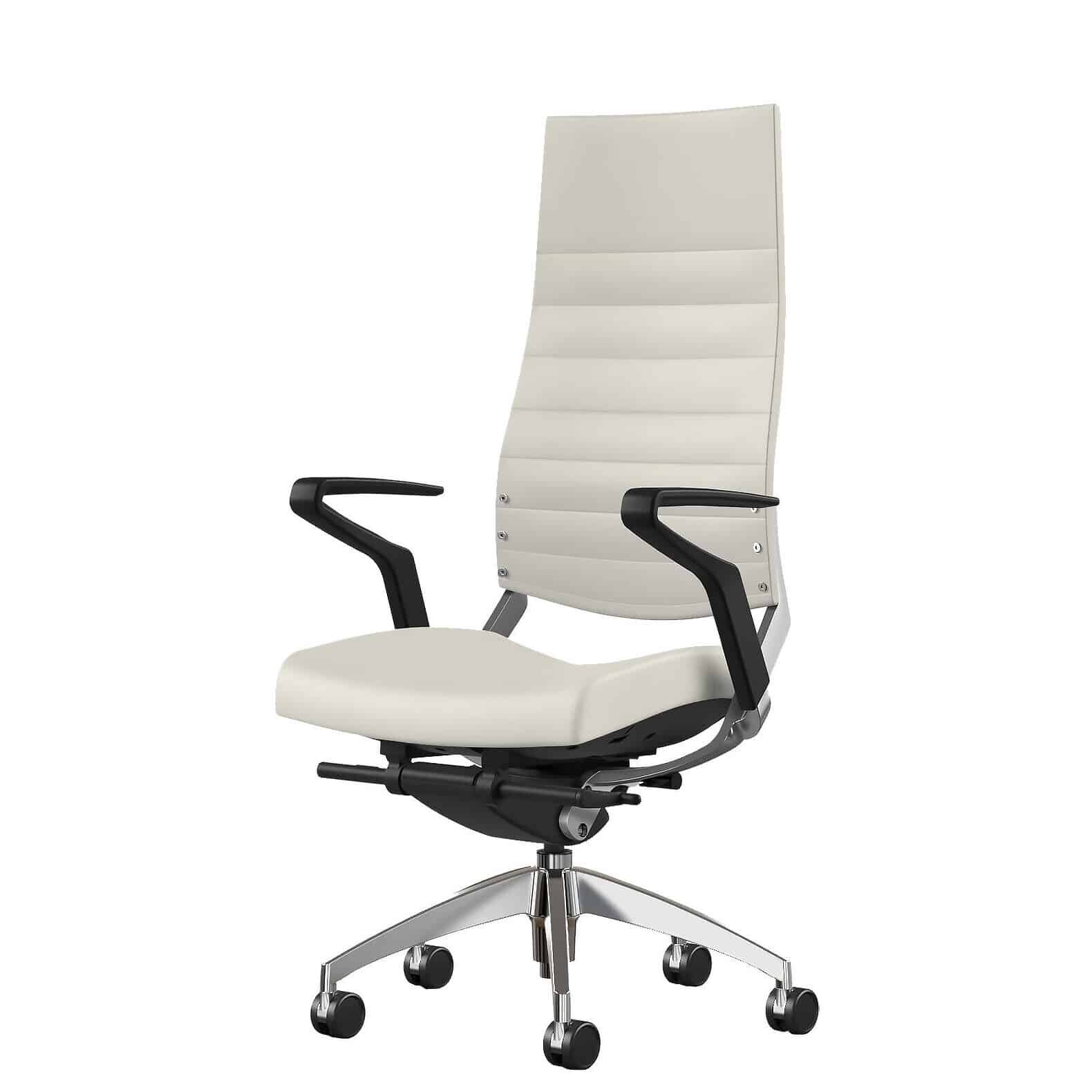 A modern and ergonomic executive chair with adjustable lumbar support and a polished aluminum base.