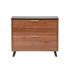 Hugo 2 Drawer Lateral File Cabinet in Black with American Walnut Frame