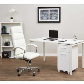 Elevate your Home Office Today with this desk, chair, file and bookcase set