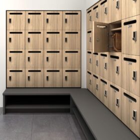 Watson Zo Lockers for Storage