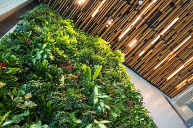 A green wall like this one is great for elevating your office environment